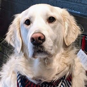 Meet your Posher, Diane